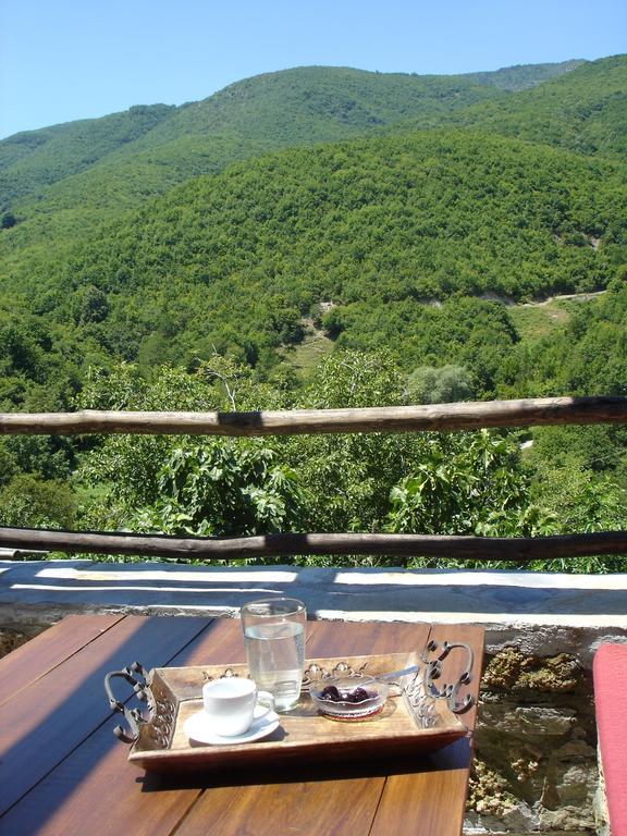 Villa Vadola Arkochorion Esterno foto